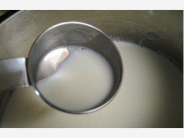 Integratori fermenti lattici