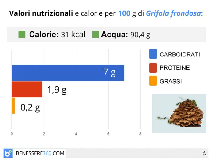 Grifola frondosa proprietà, benefici ed effetti collaterali del fungo