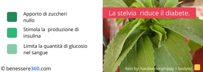 La stevia riduce il diabete