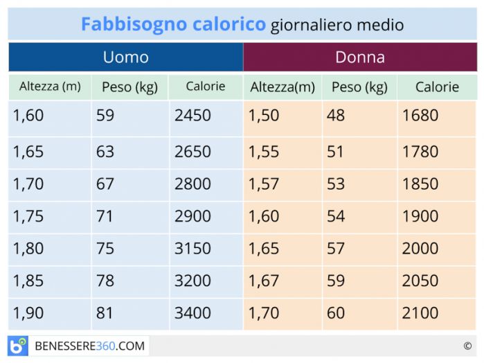 Peso forma e calorie: fabbisogno calorico giornaliero per rimanere in forma