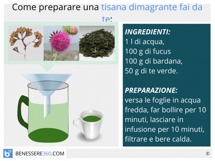 Tisane dimagranti, snellenti, brucia grassi, drenante 