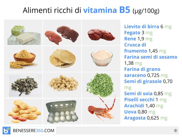 Qué frutas tienen vitamina b12