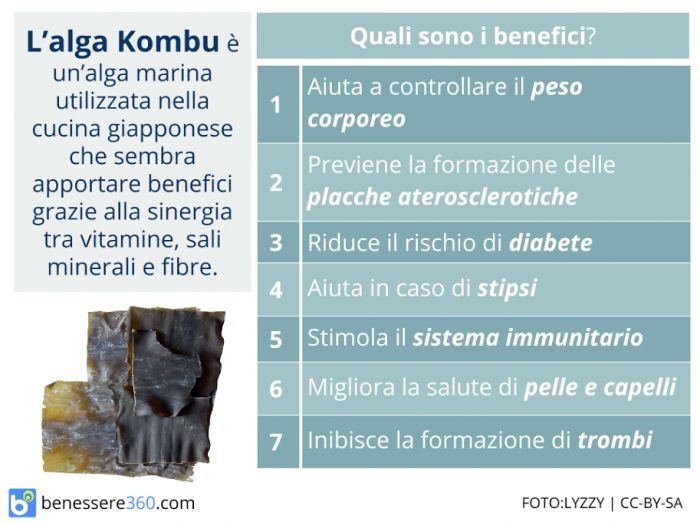 Alga Kombu: proprietà e benefici