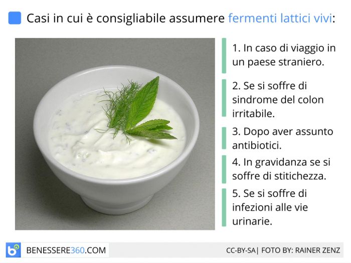 Fermenti lattici vivi, i migliori probiotici: a cosa servono? Proprietà e  controindicazioni