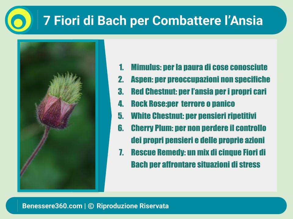 Fiori di Bach per l'Ansia: Guida Completa per la Scelta e l'Uso