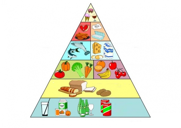 Risultati immagini per piramide alimentare
