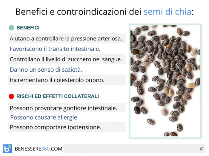 Semi di chia, un concentrato di calcio e Omega3. Ecco tutte le proprietà  benefiche