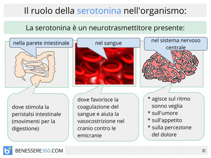 Serotonina Naturale Omeopatica Da Alimenti O Integratori